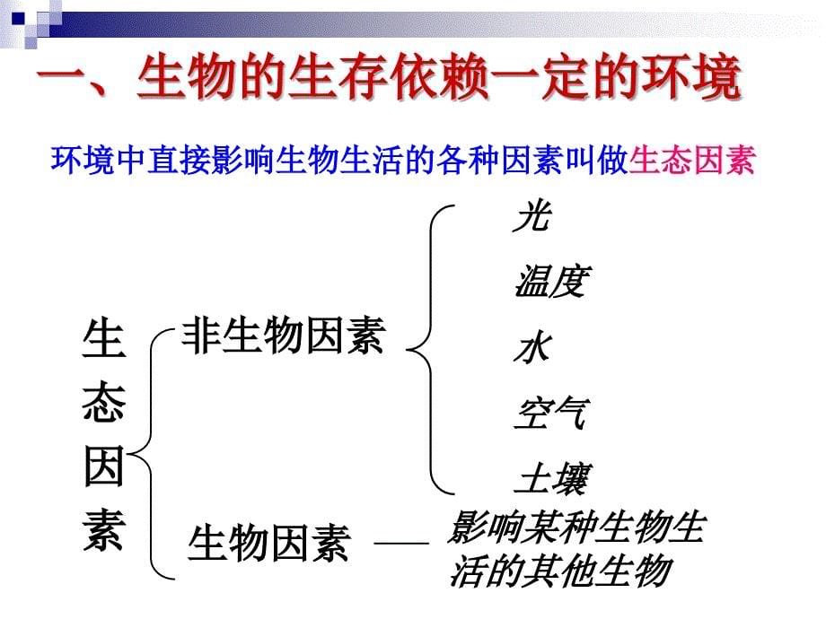 2.1生物与环境的相互关系_第5页