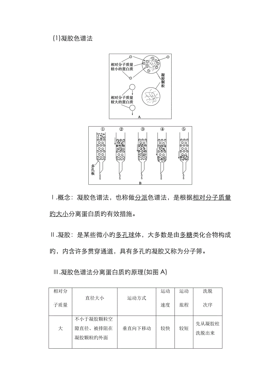 血红蛋白的提取和分离 基础知识_第3页