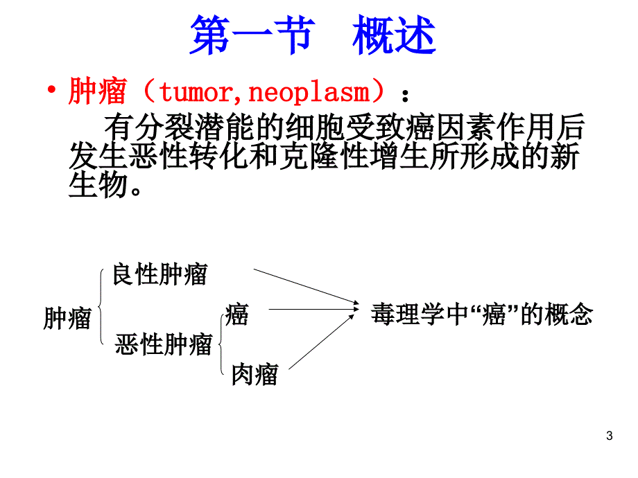 第八章外源化学物致癌作用_第3页