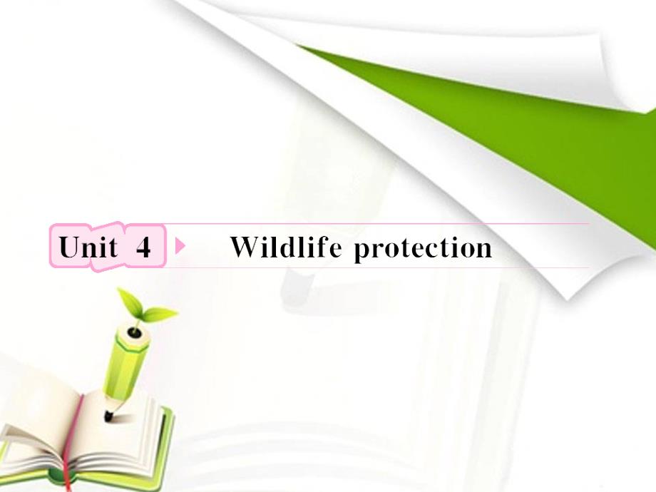 2012高考英语人教版必修2Unit4《Wildlife protection》知识与要点_第1页