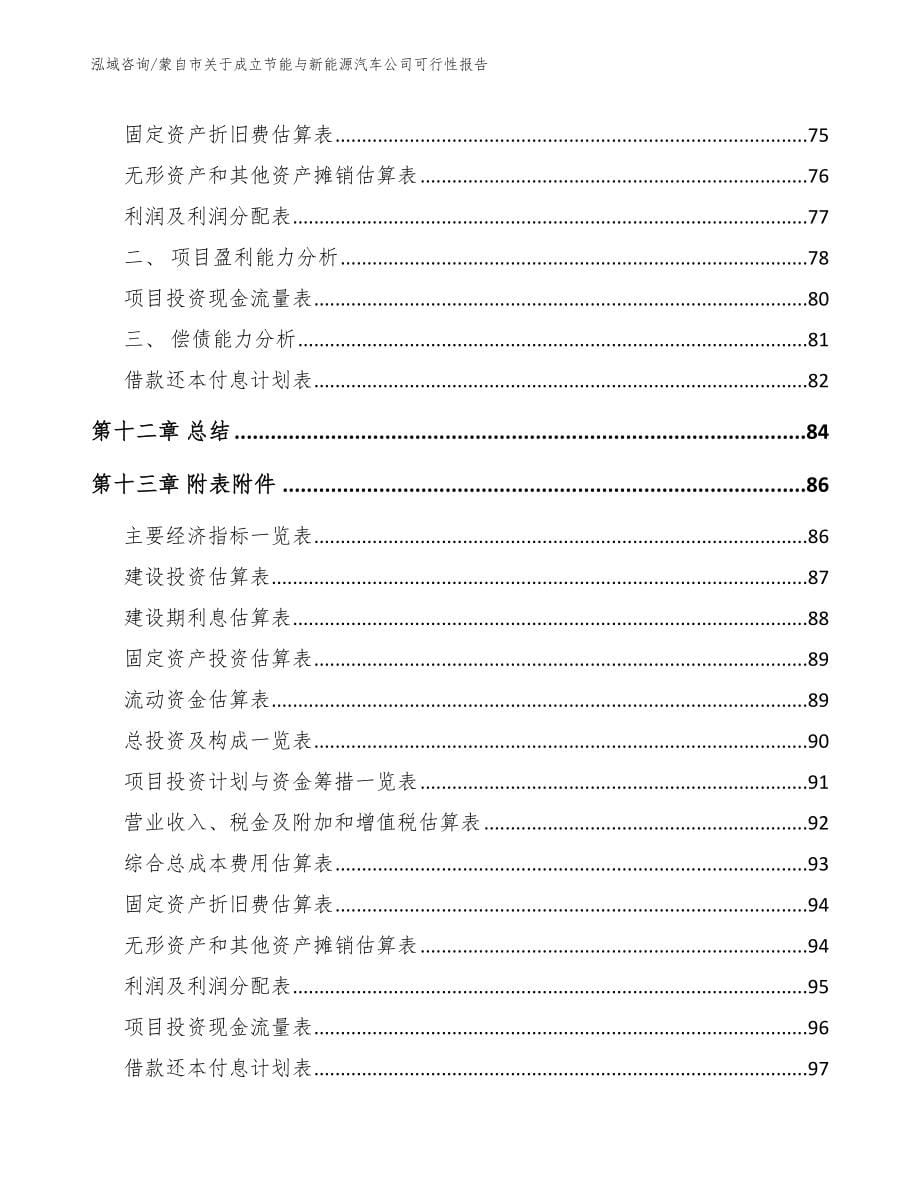 蒙自市关于成立节能与新能源汽车公司可行性报告范文参考_第5页