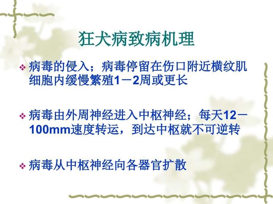 狂犬病暴露后伤口处理及血清的应用liu_第5页