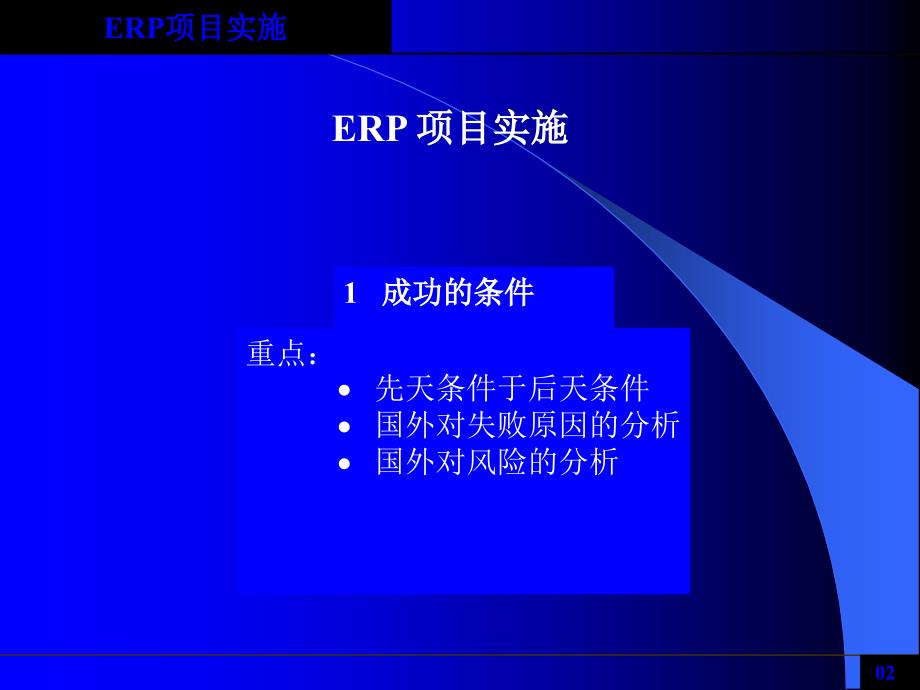 ERP项目实施[教材]_第2页