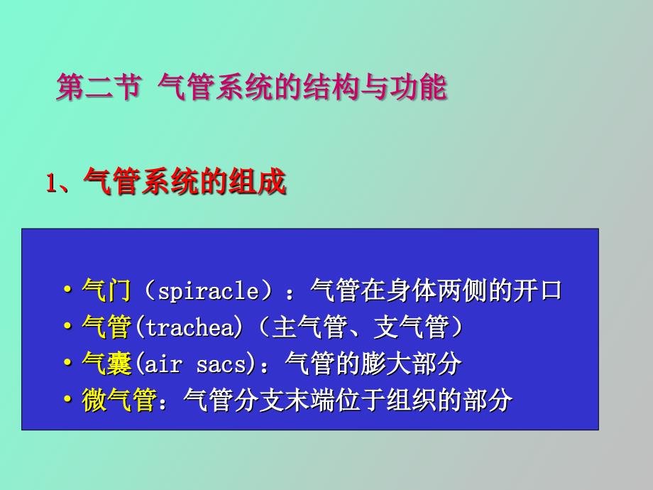 昆虫的呼吸系统_第4页