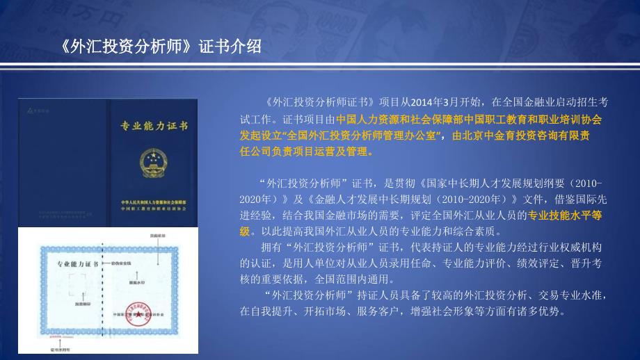 《外汇投资分析师》PPT课件.ppt_第3页