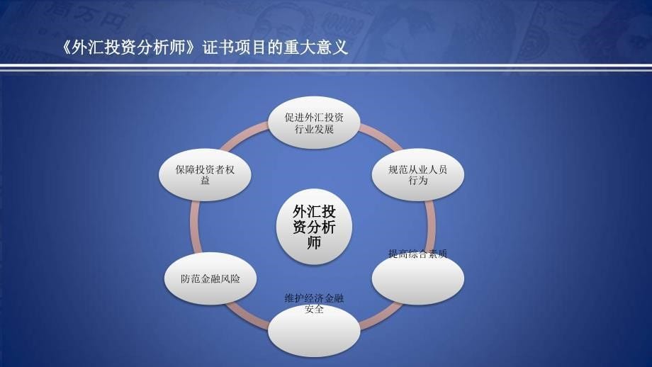 《外汇投资分析师》PPT课件.ppt_第5页