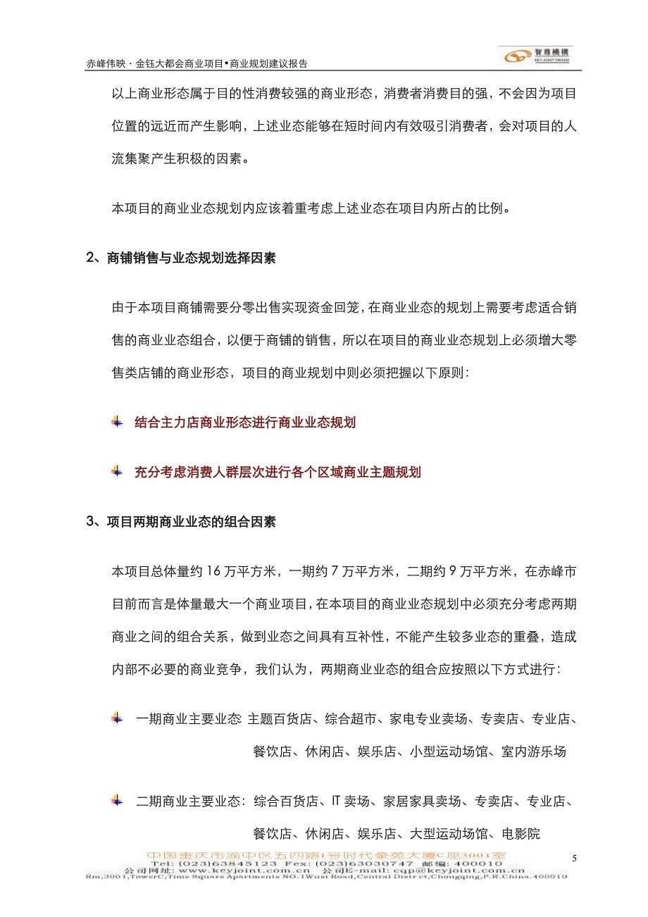 某商业项目商业规划建议报告_第5页