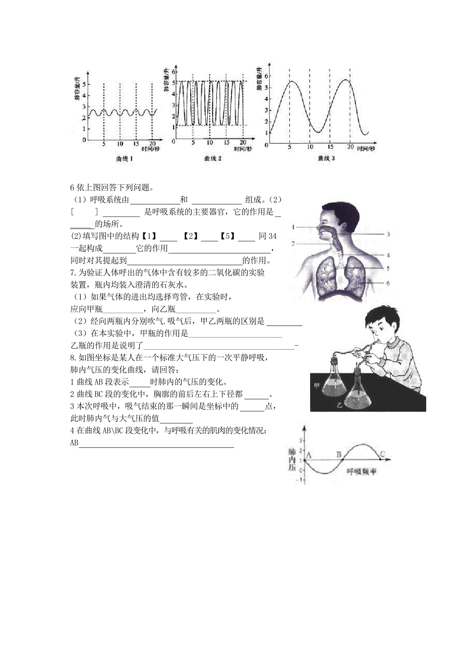 七年级生物第三章人体的呼吸知识提纲及试题_第4页