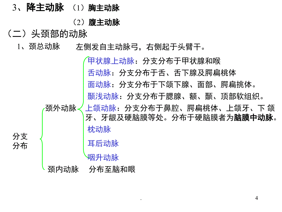 动脉优秀课件_第4页