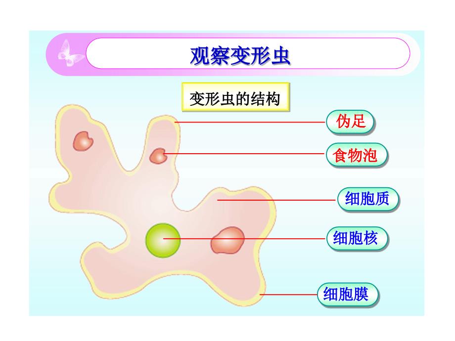 细胞是生命活动的单位_第3页