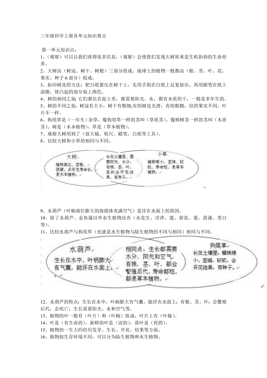 科学上册各单元知识要点.doc_第1页