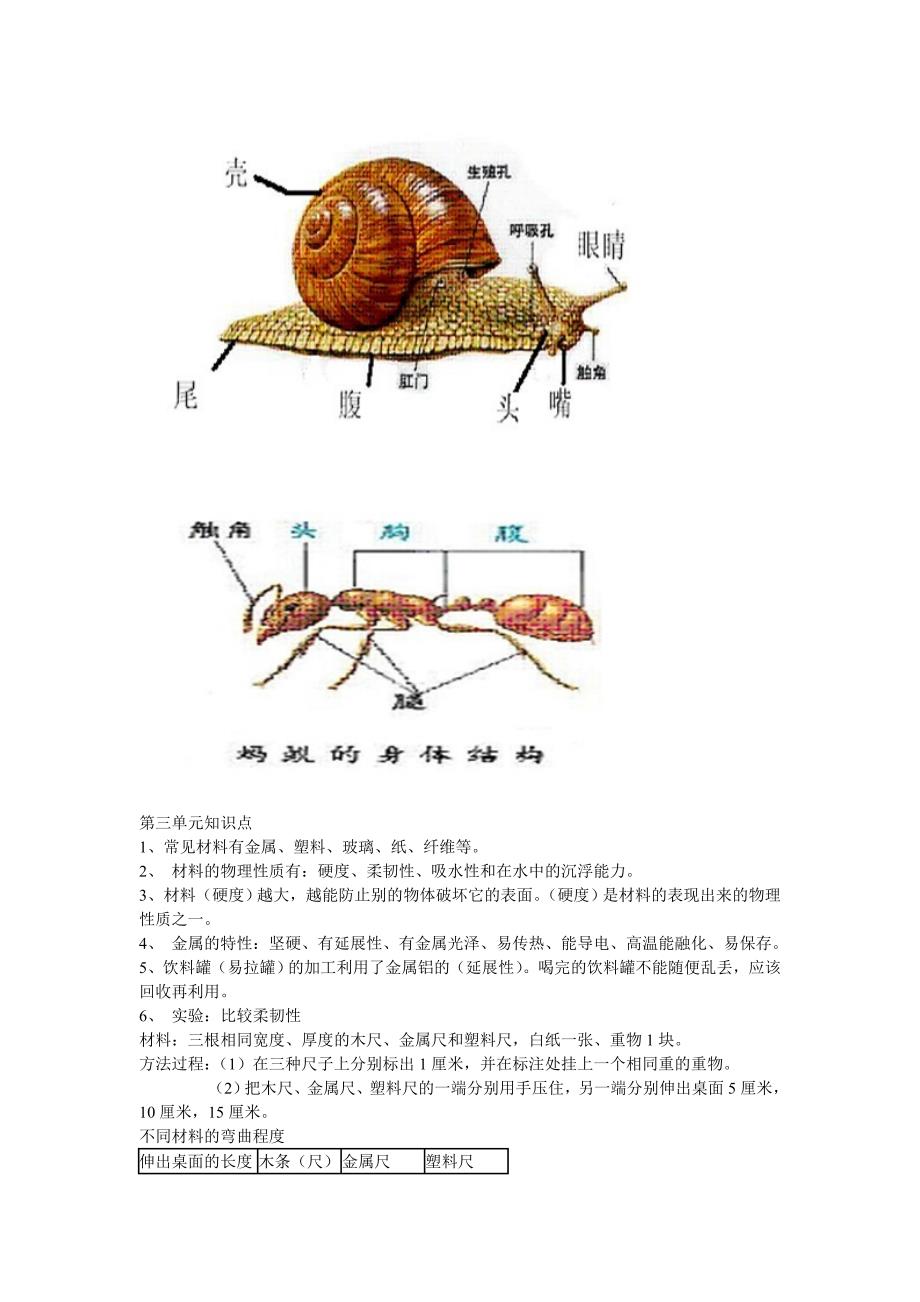 科学上册各单元知识要点.doc_第4页