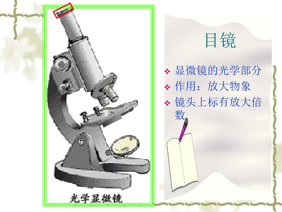 练习使用显微镜PPT课件_第4页