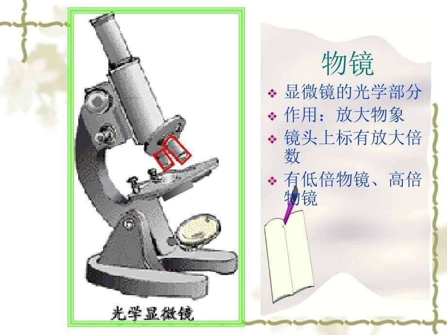 练习使用显微镜PPT课件_第5页