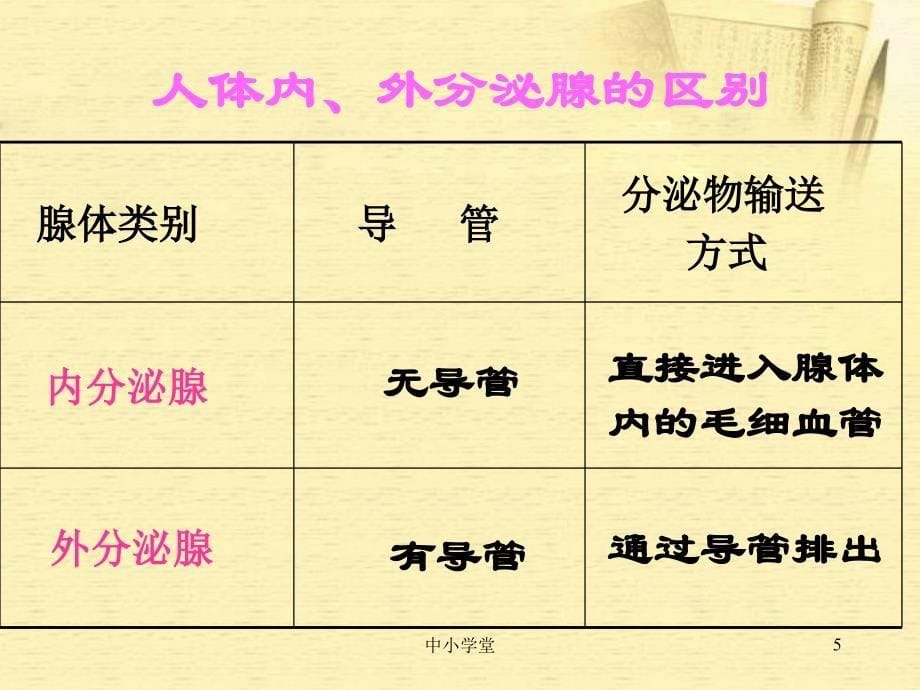 七年级生物下册第四节激素调节人教新课标版课堂补充_第5页