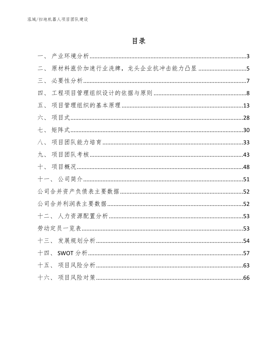 扫地机器人项目团队建设_第2页