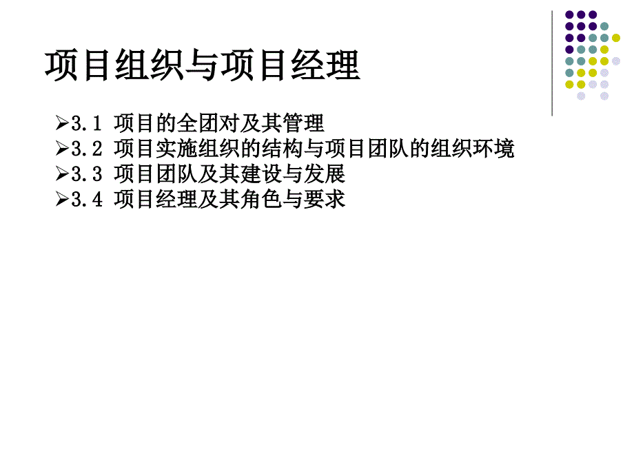 项目实施组织与项目经理_第1页