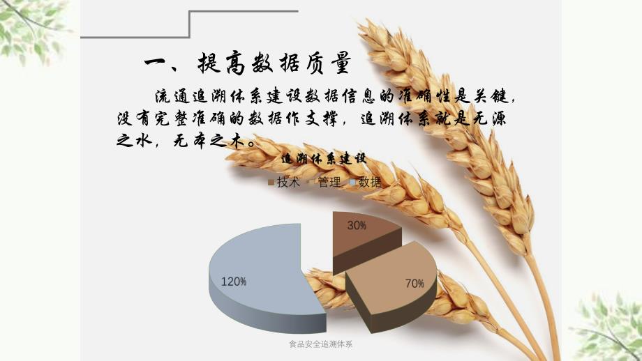 食品安全追溯体系_第4页