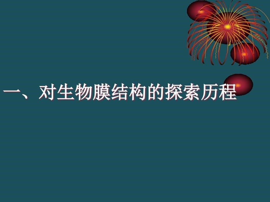 人教版教学云南省弥勒县庆来中学高一生物流动镶嵌模型ppt课件_第5页