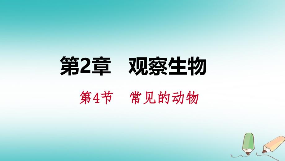 七年级科学上册 第2章 观察生物 第4节 常见的动物 2.4.4 常见的无脊椎动物 （新版）浙教版_第1页