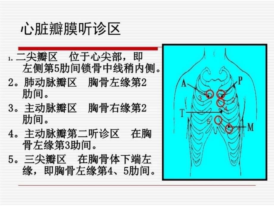 最新心脏听诊检查1PPT课件_第5页