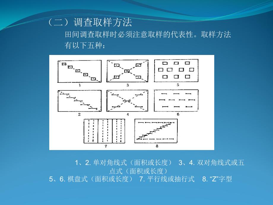 病虫害调查-1课件_第4页