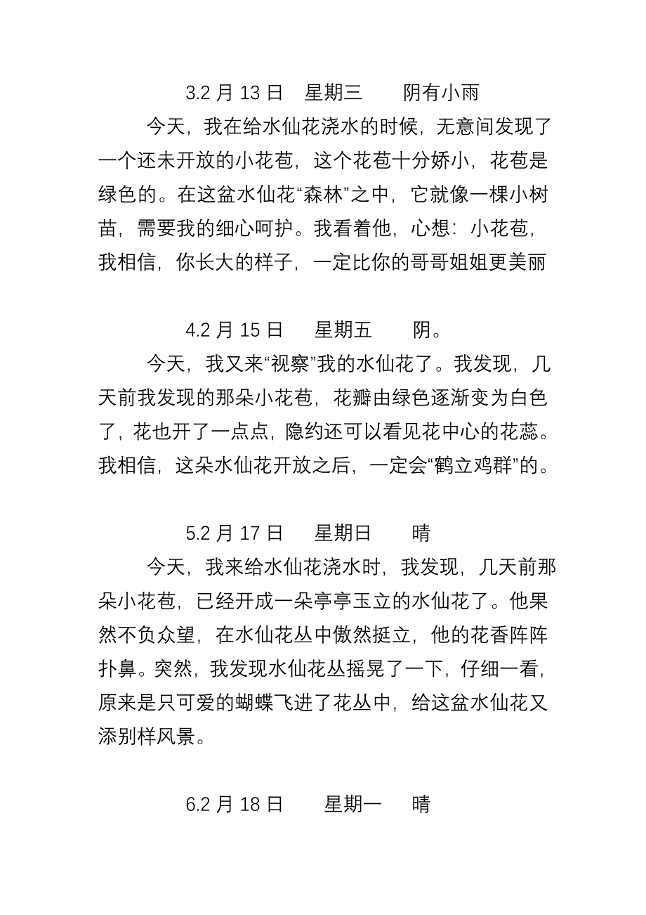 水仙花观察日记.doc_第2页