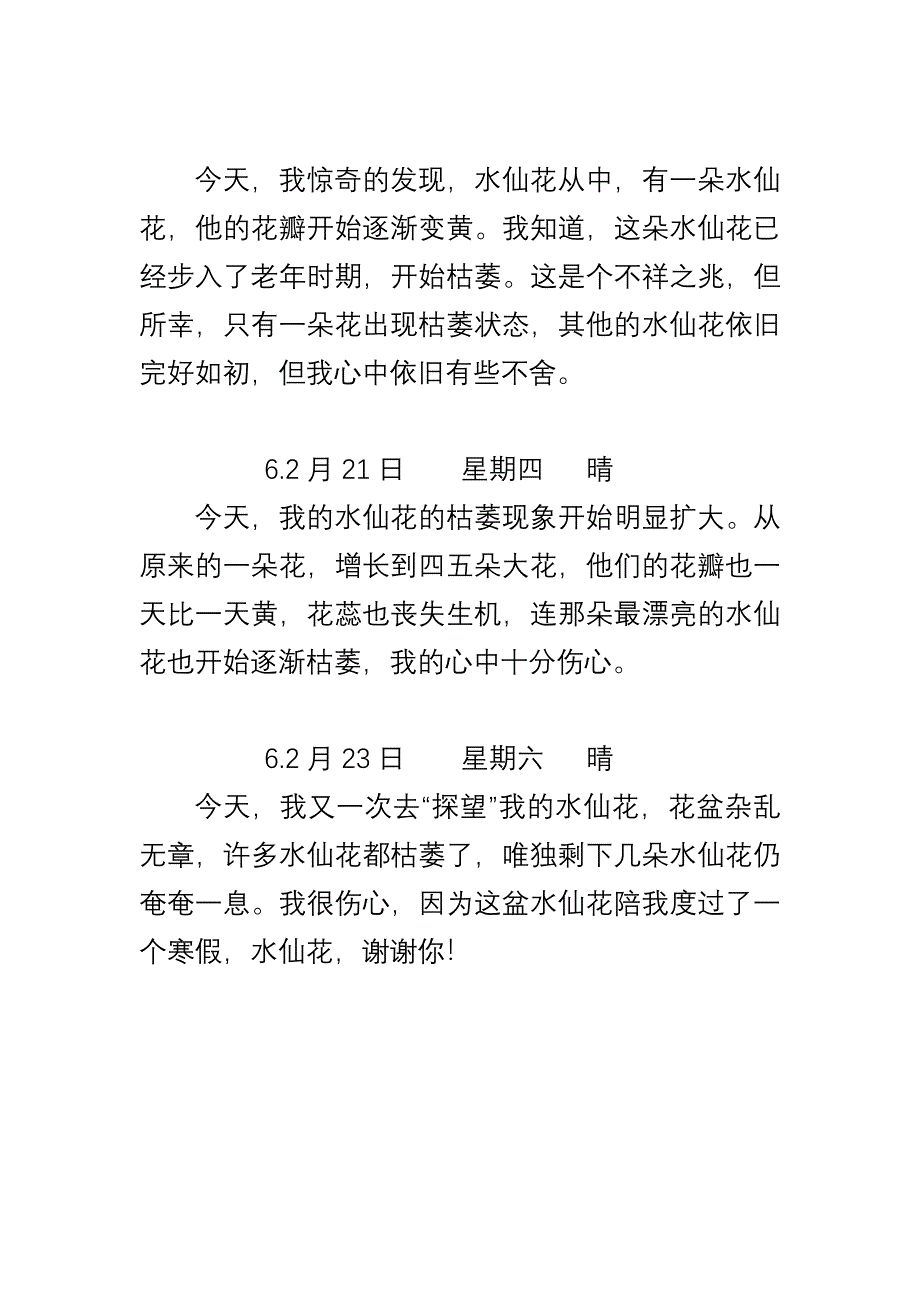 水仙花观察日记.doc_第3页