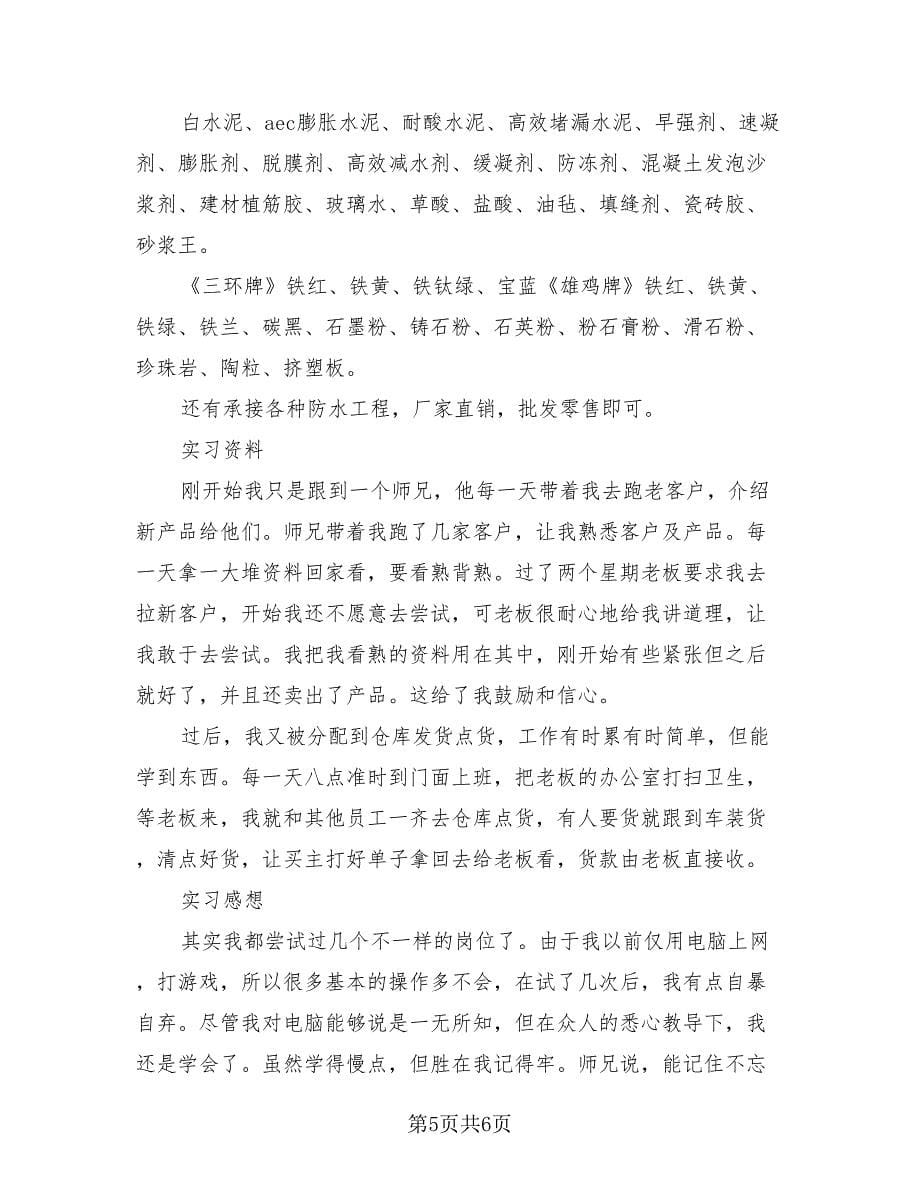 会计个人年终总结标准样本（2篇）.doc_第5页