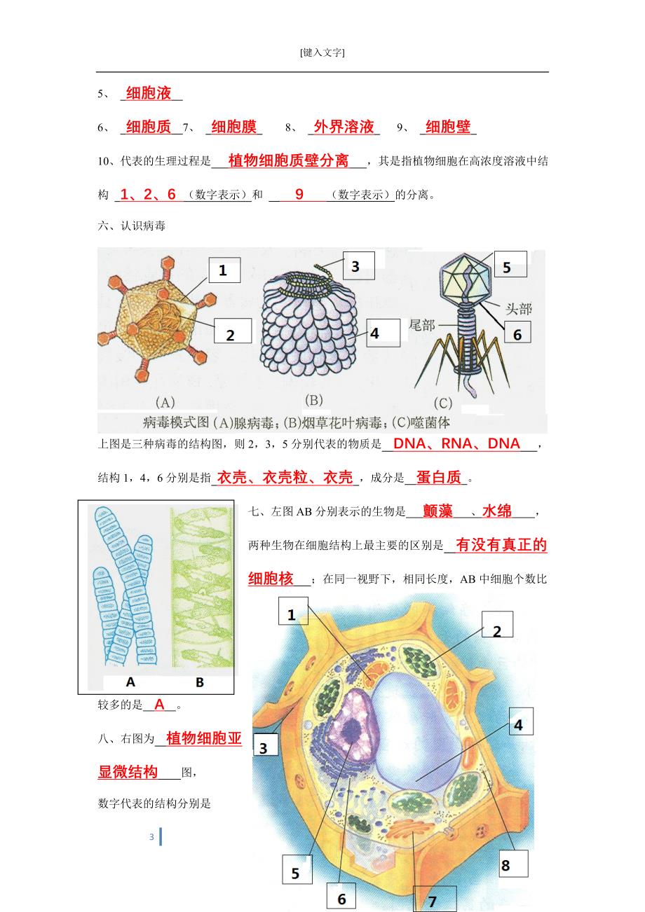 高中生命科学复习图片相关_第3页