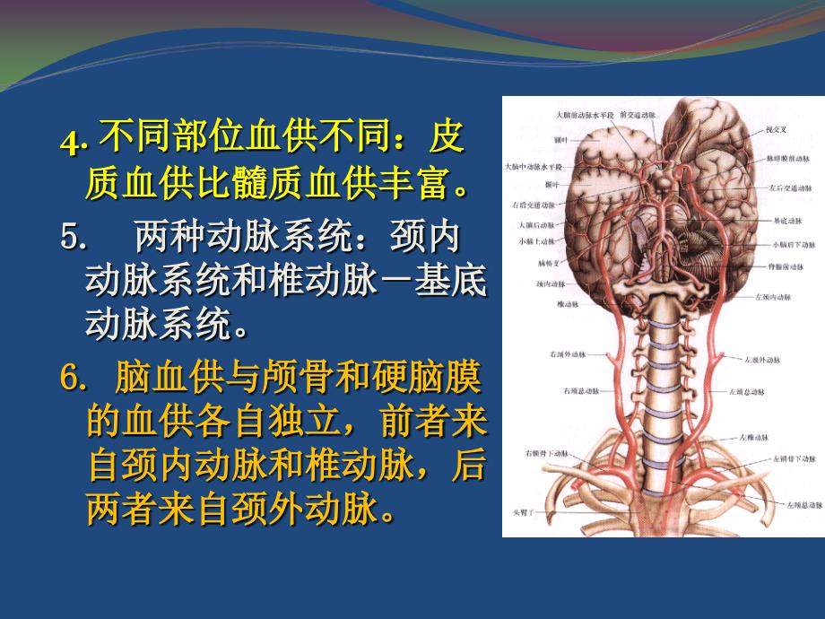 脑血管04ppt课件_第4页