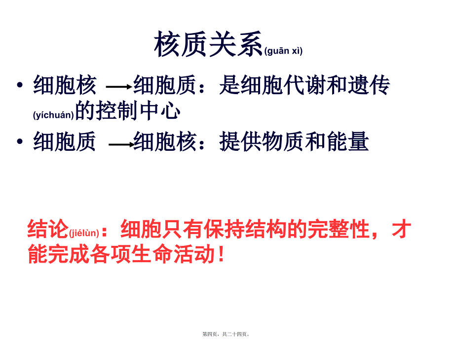 医学专题—细胞核的结构和功能28186_第4页