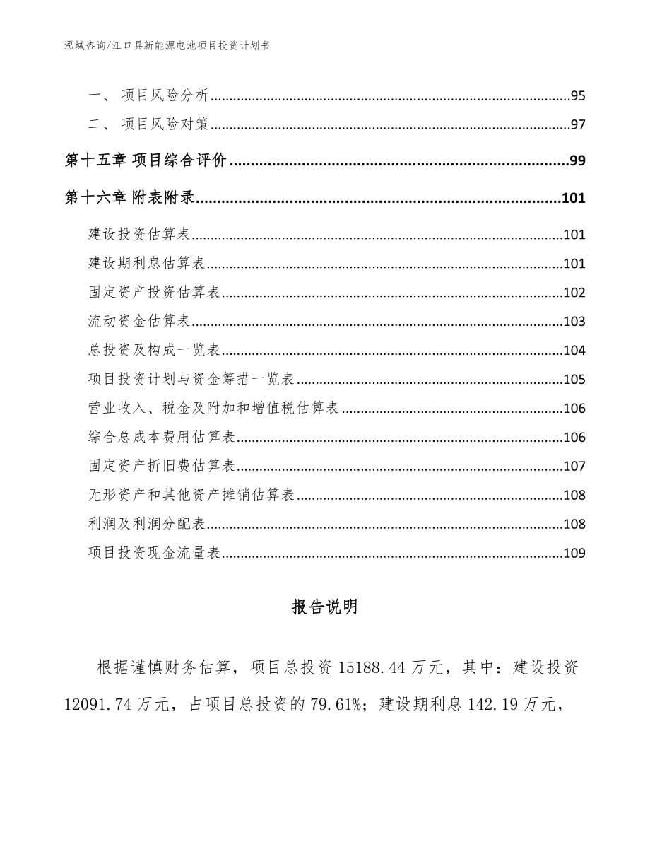 江口县新能源电池项目投资计划书_模板范本_第5页