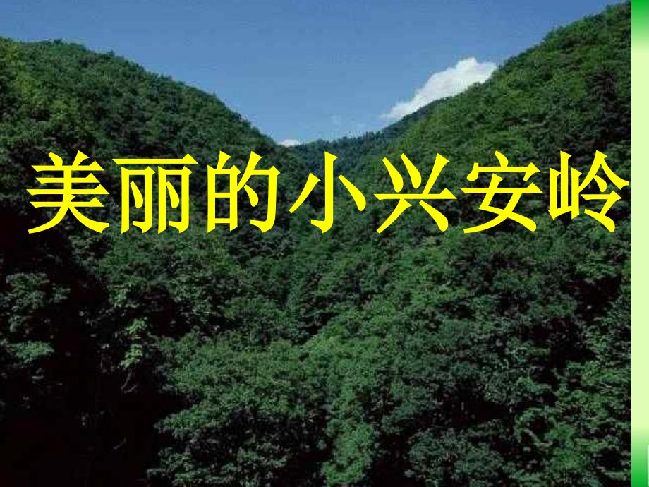 王云美丽的小兴安岭_第1页