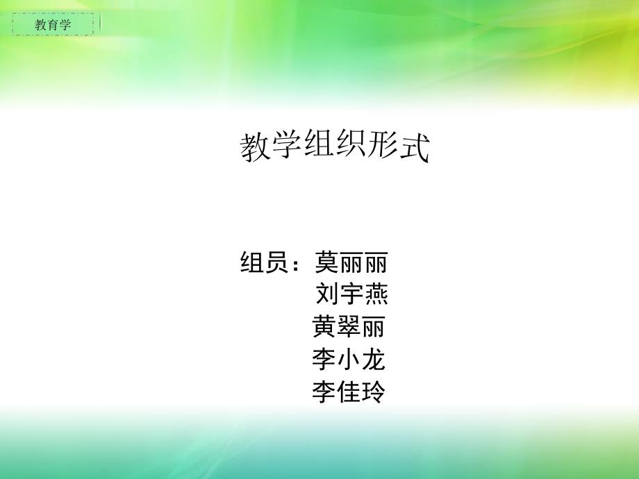 教学组织形式(教育学).ppt_第1页