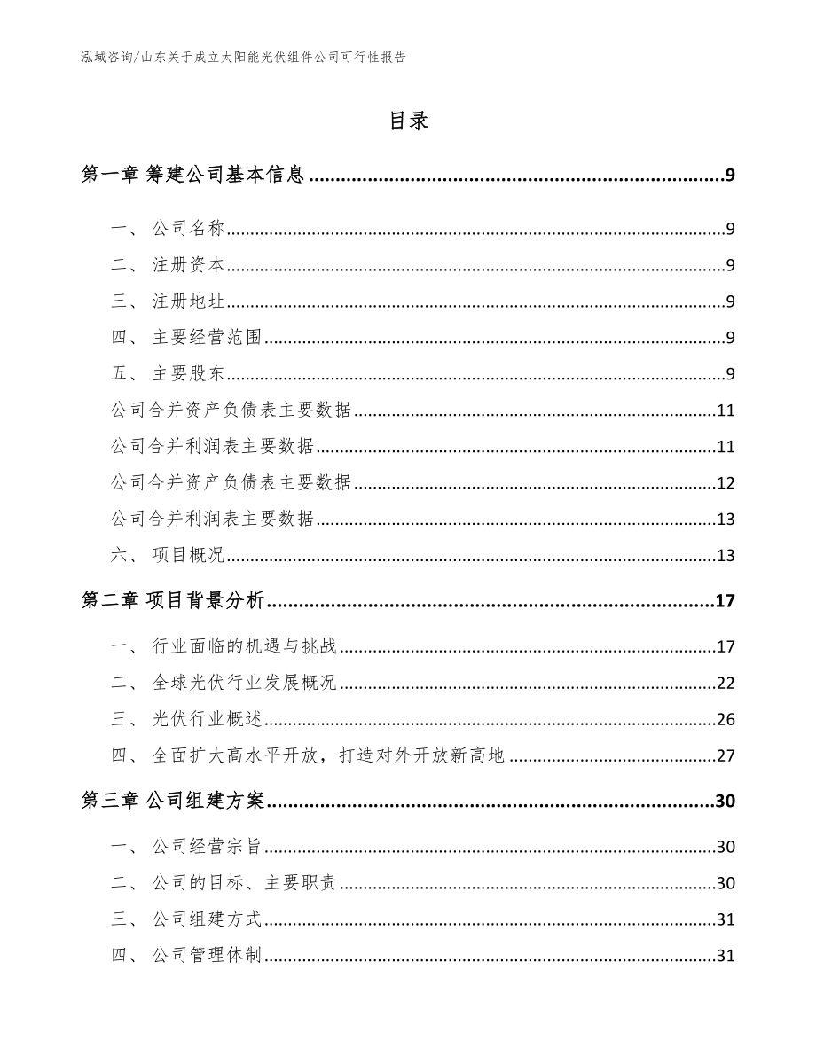 山东关于成立太阳能光伏组件公司可行性报告（模板）_第2页