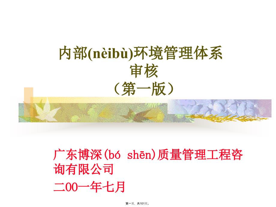 内部环境体系审核1资料讲解_第1页