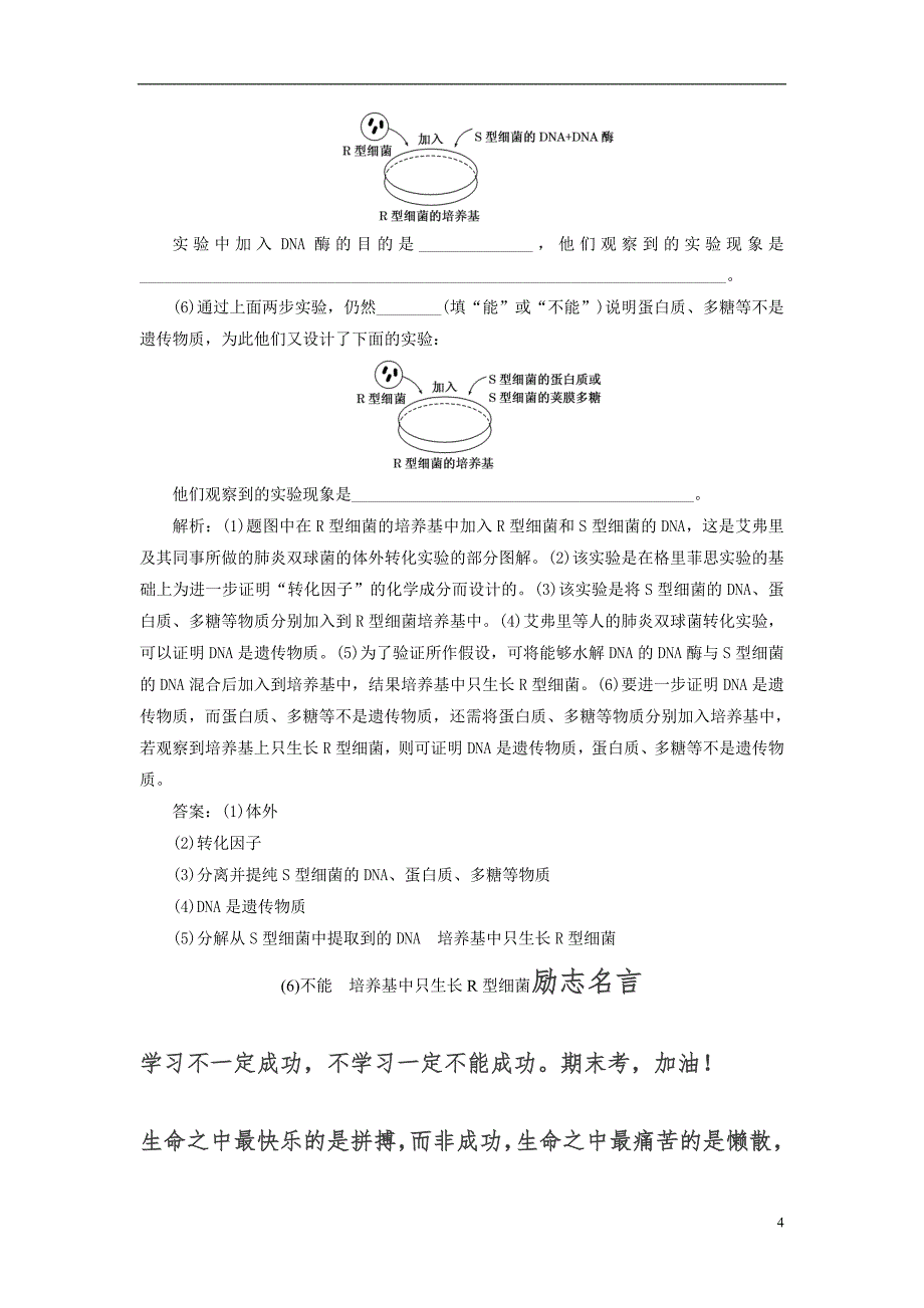 高中生物（2021年）第3章基因的本质第1节DNA是主要的遗传物质课时跟踪检测新人教版必修2 新修订.doc_第4页