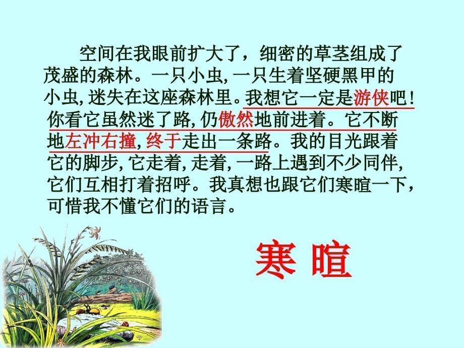 六年级语文上册第一组3草虫的村落第二课时课件_第5页