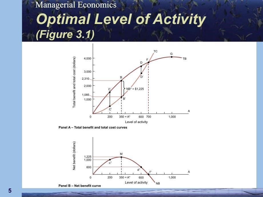 管理经济学英文版3_第5页