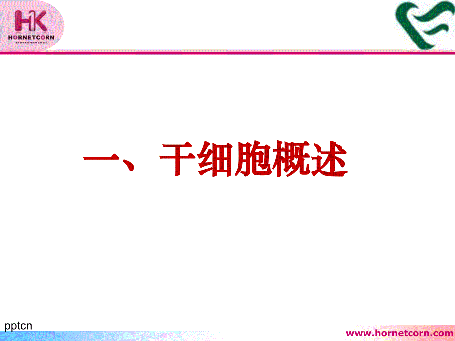 干细胞技术与临床应用合一康课件_第4页