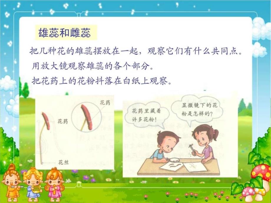 四年级科学下册花果实和种子2课件教科版.ppt_第4页