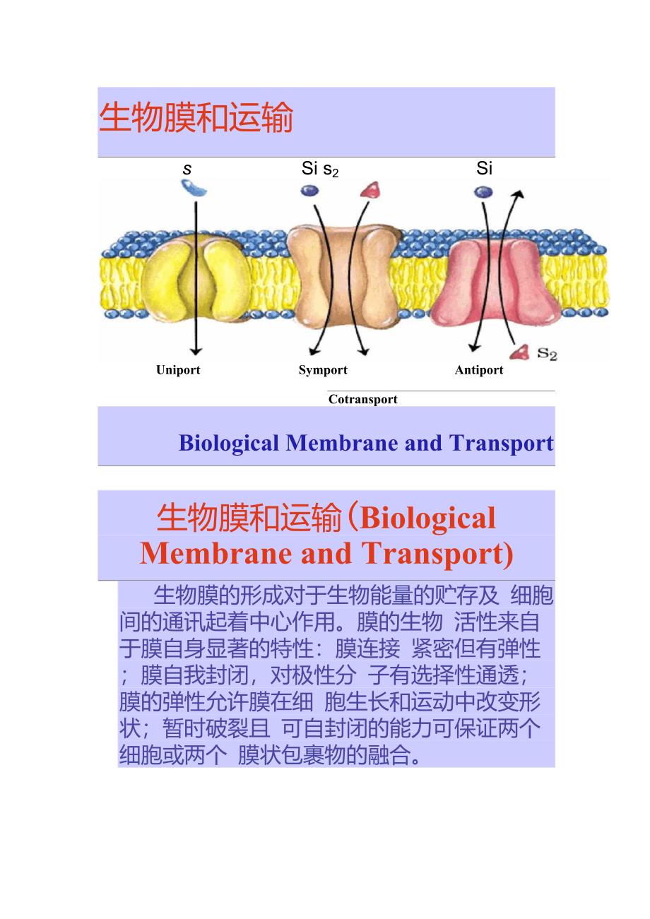 生物膜和运输_第1页