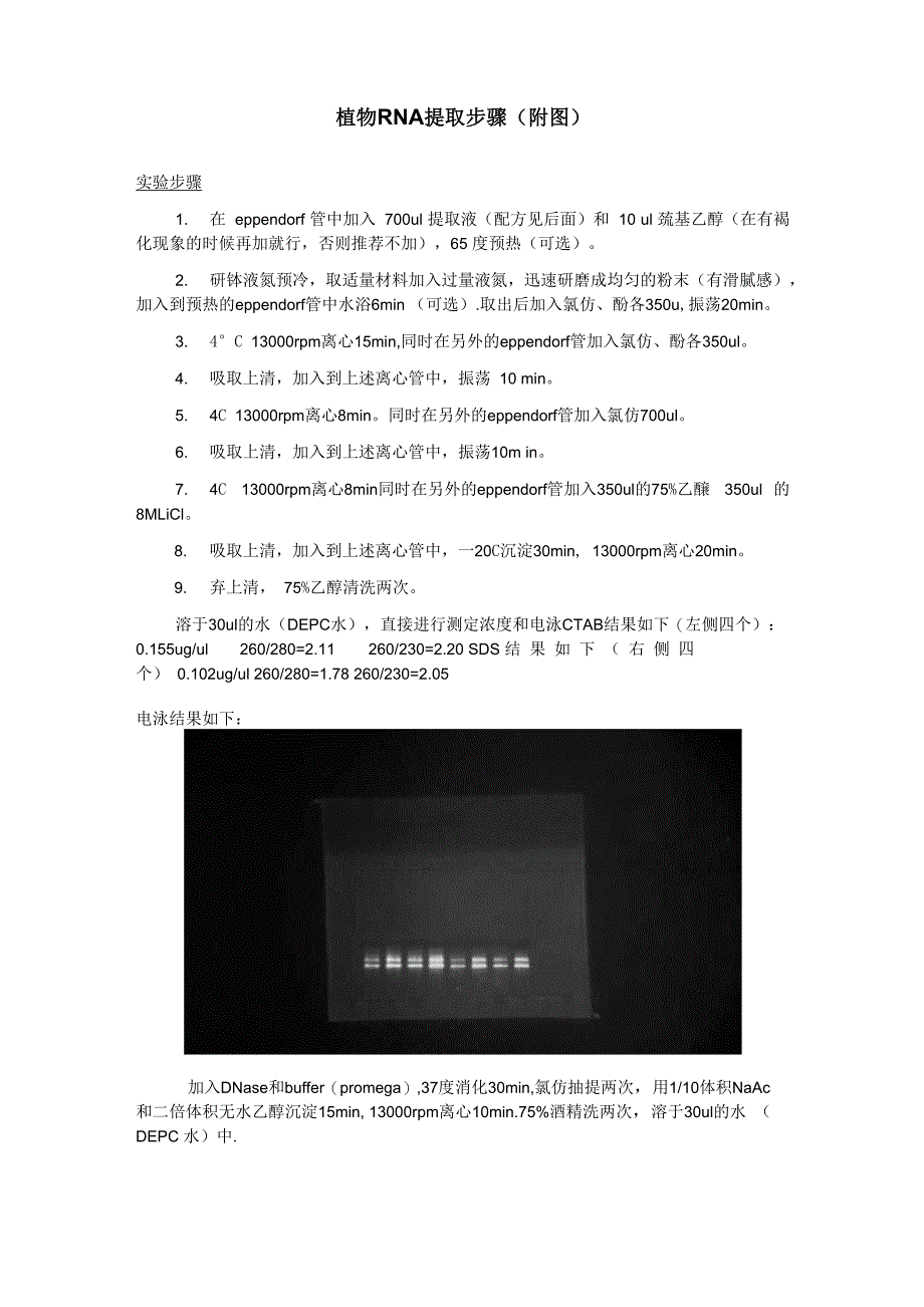 植物RNA提取步骤_第1页