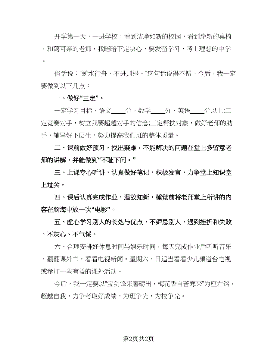 小学生学习工作计划新学期标准版（2篇）.doc_第2页