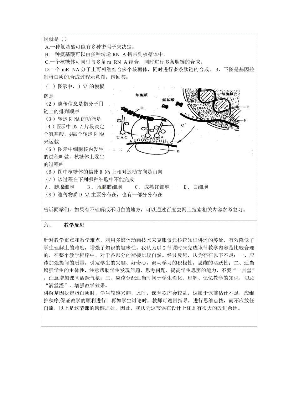 基因控制蛋白质的合成电子教案_第5页