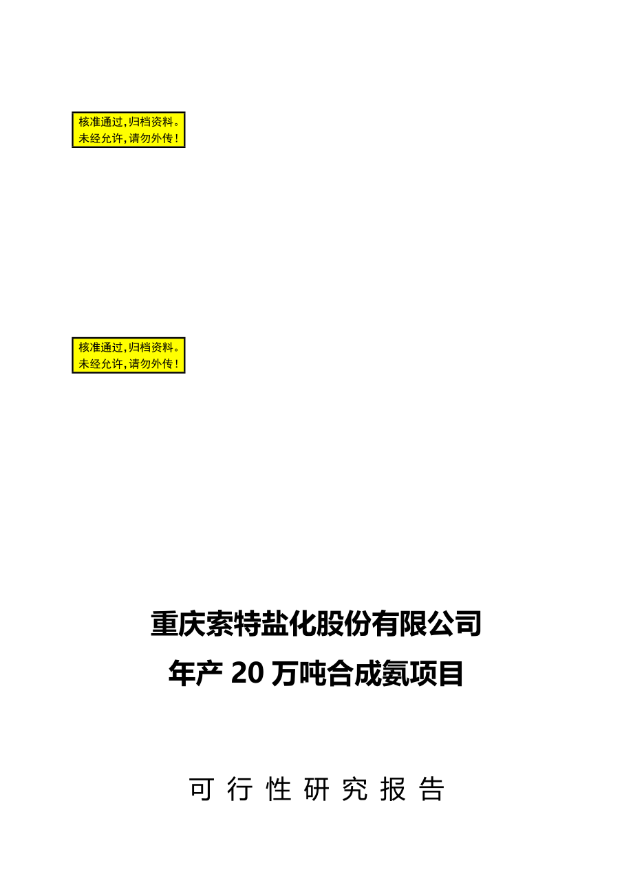 20万吨年合成氨改造项目可行性研究报告_第1页