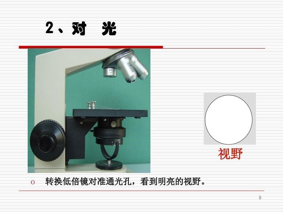 实验课使用高倍显微镜观察几种细胞_第5页