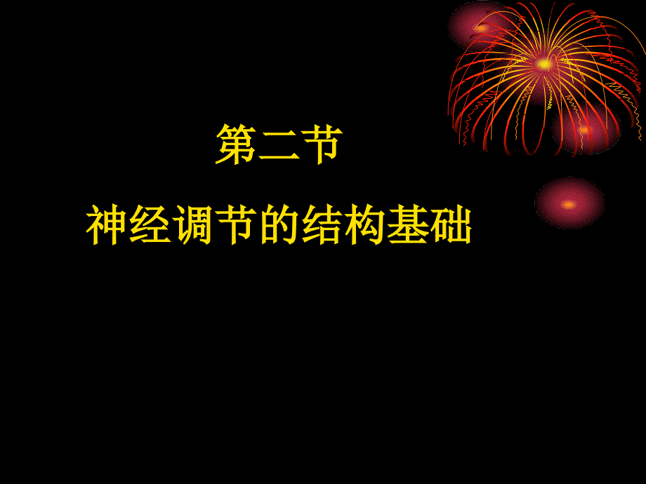 济南版生物下神经调节的基本结构ppt课件1_第3页