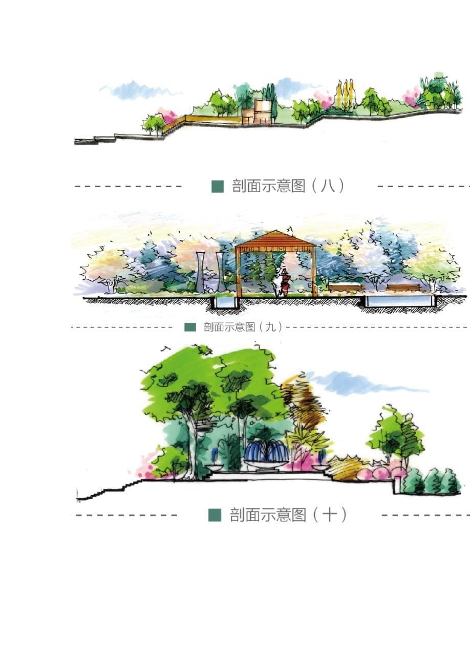 景观快题设计中剖立面图的绘制画法.doc_第5页